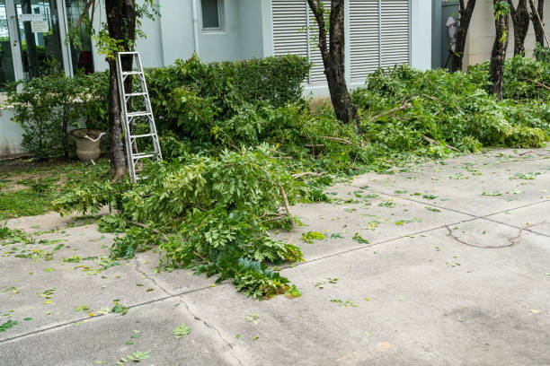 Best Commercial Tree Services  in Port Oconnor, TX